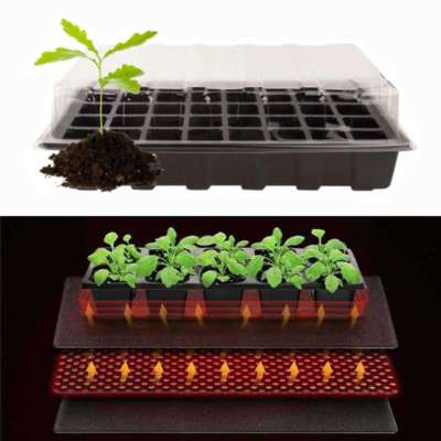m-s-1-EasySeedling-v3
